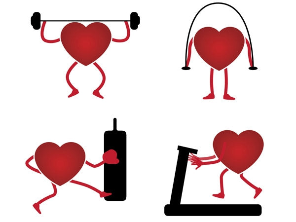 Heart Basics - What Everyone Should Know Before Starting Exercising
