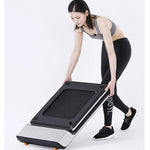 Flow Fitness DTM 100i Walking Pad Treadmill