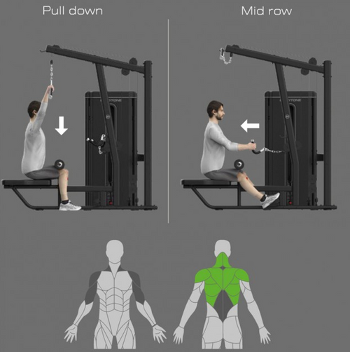 Bodytone Light Commercial Dual Leg Curl/Extension exercise chart with male showing how to perform each exercise against a grey background.