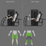 Bodytone Light Commercial Dual Leg Press and Calf Raise machine showing leg press and calf raise exercise chart with body diagrams highlighting muscles against a grey background.