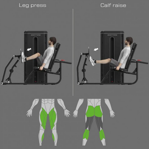 Bodytone Light Commercial Dual Leg Press and Calf Raise machine showing leg press and calf raise exercise chart with body diagrams highlighting muscles against a grey background.