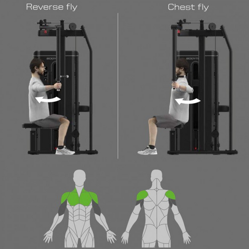 Bodytone Light Commercial Dual Pec Fly/Rear Delt exercise chart with male showing how to perform each exercise against a grey background.