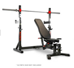 BH Olympic Rack Light Commercial Bench G510 with Olympic Bar on bar rests and bench in incline position